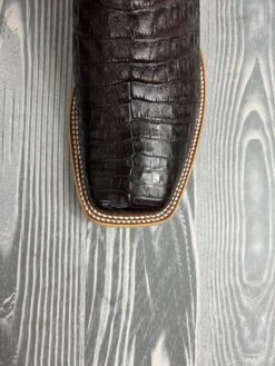 Men's Horse Power Chocolate Caiman Belly With 13" Navy Explosion Tops - HP-8065 -Ariat Store IMG 4351